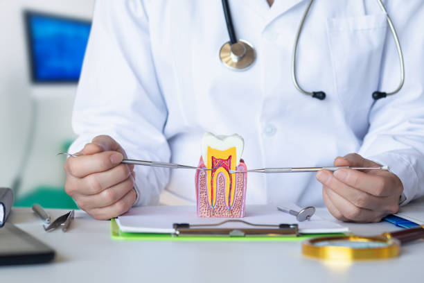 Best Chipped Tooth Repair Near Me  in Marshall, IL